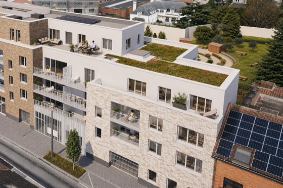 Toiture végétalisée et panneaux solaires vus d’en haut